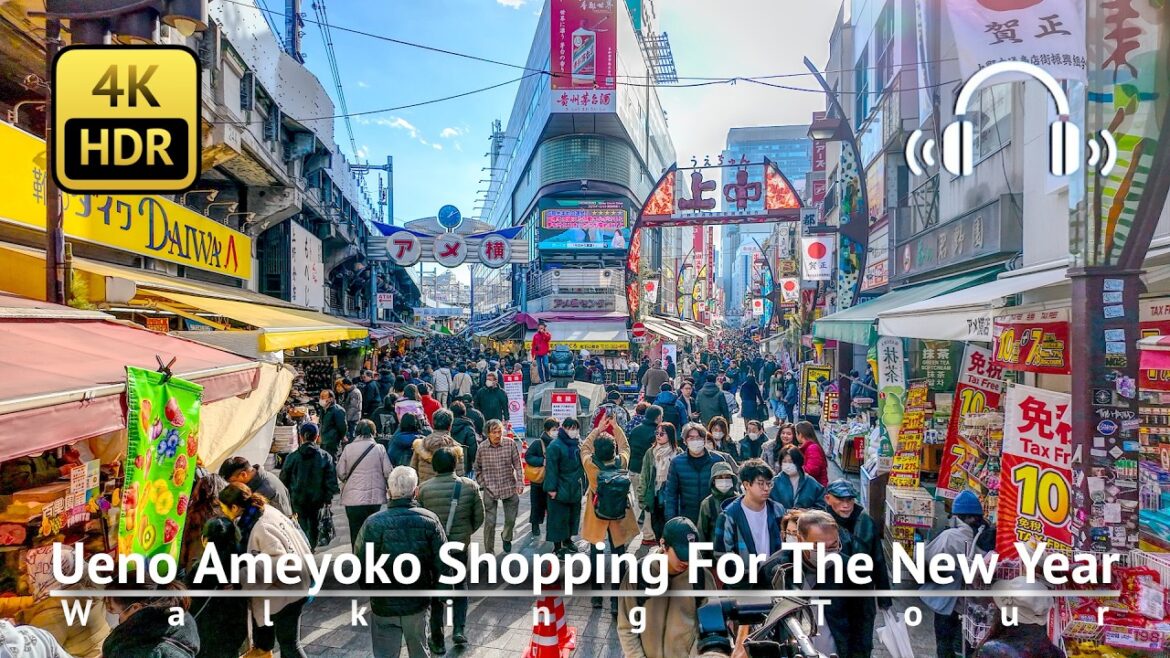 Ueno Ameyoko Market：Shopping For The New Year [4K/HDR/Binaural]