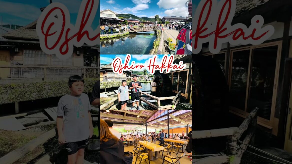 Oshino Hakkai, Japan. #mtfuji #kawaguchiko #traveljapan