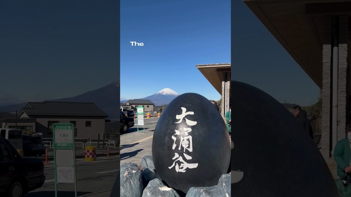 4 Hotels With Beautiful Views Over Mt. Fuji 🗻♨️