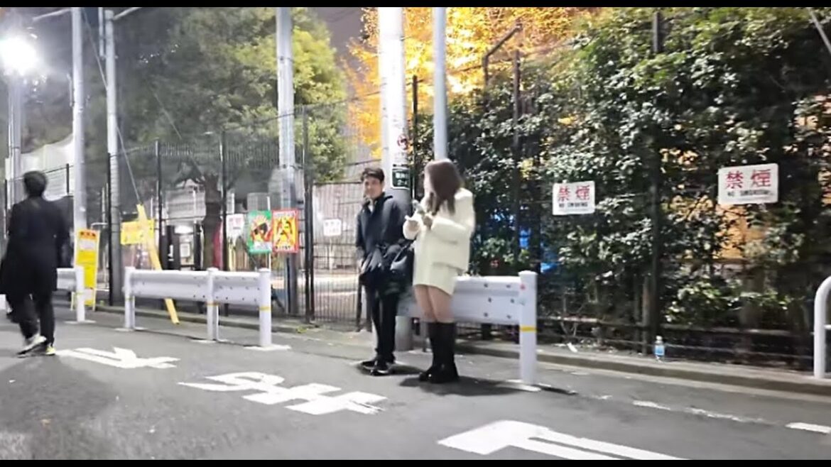 Kabukicho, Shinjuku, Tokyo. Up on December 28, 2024.