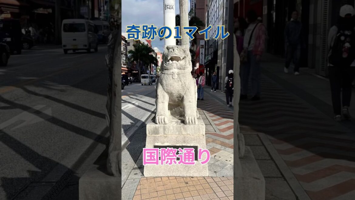 奇跡の1マイル  国際通り　沖縄　沖縄県　沖縄県那覇市　沖縄本島　琉球　琉球王国