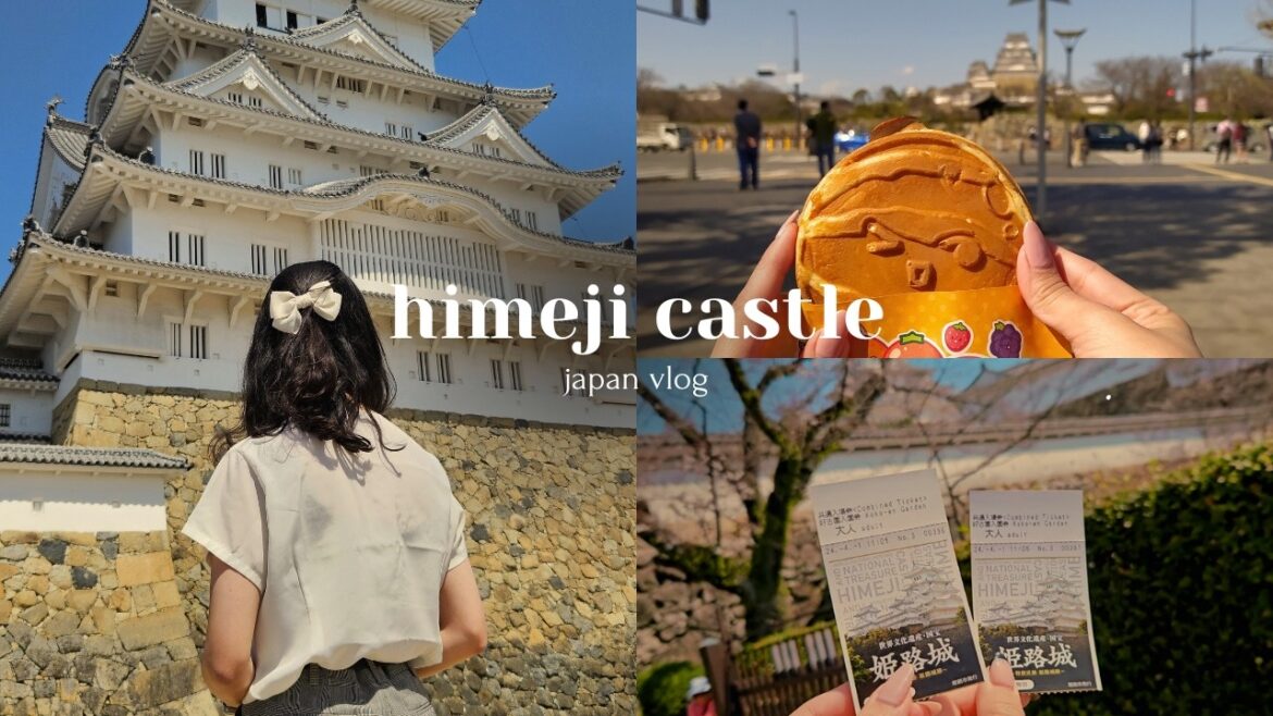 life in japan | day tryp to himeji castle, kokoen garden, eating street food | ansoen vlog