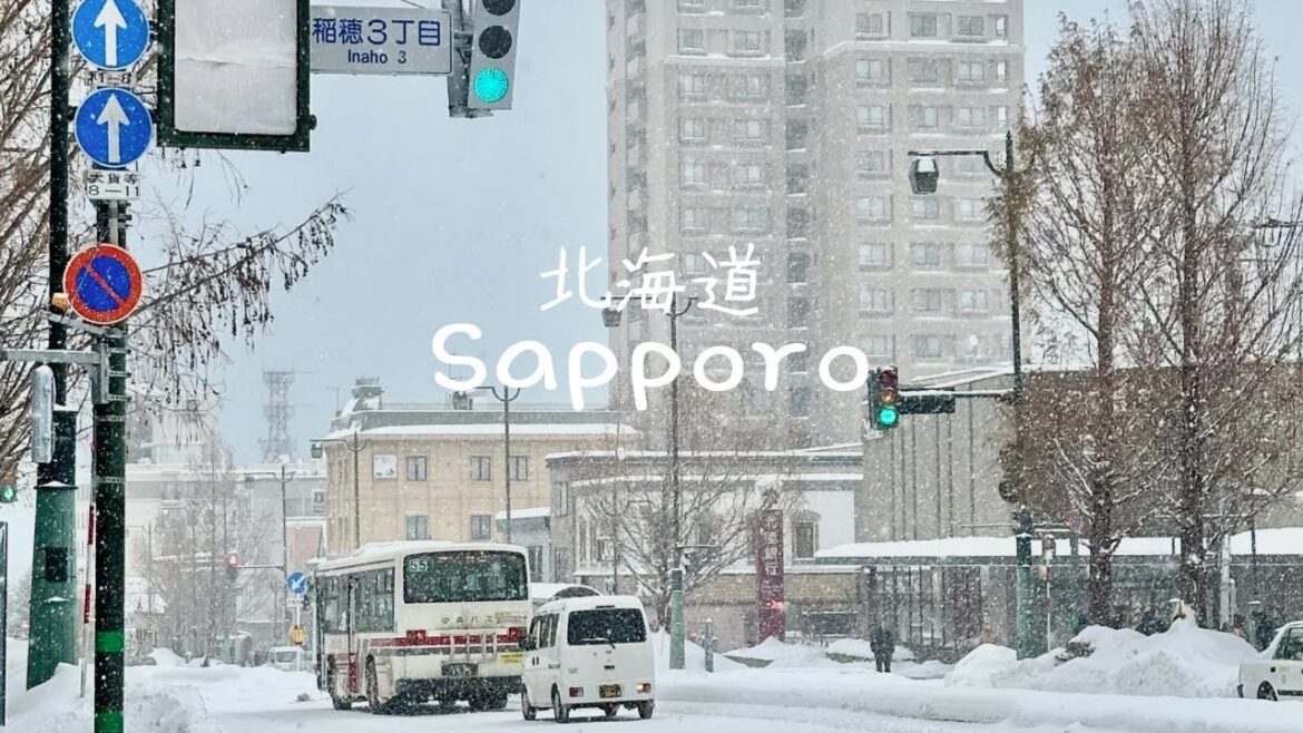 나홀로 떠난 일본 삿포로 여행❄️ | 눈 맞으면서 당일치기 온천, 오타루, 비에이 투어 | 징기스칸, 스프카레, 이자카야 #sapporo