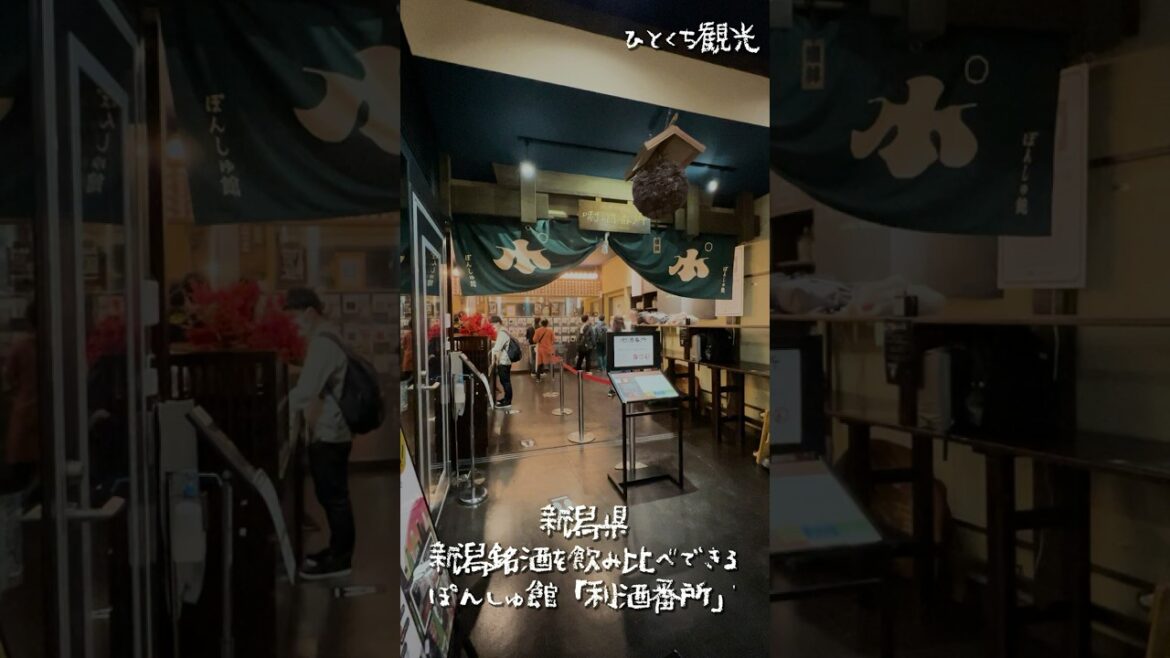 【利き酒】新潟中の日本酒が飲める！ぽんしゅ館『唎酒番所』が最高でした【越後湯沢】#shorts