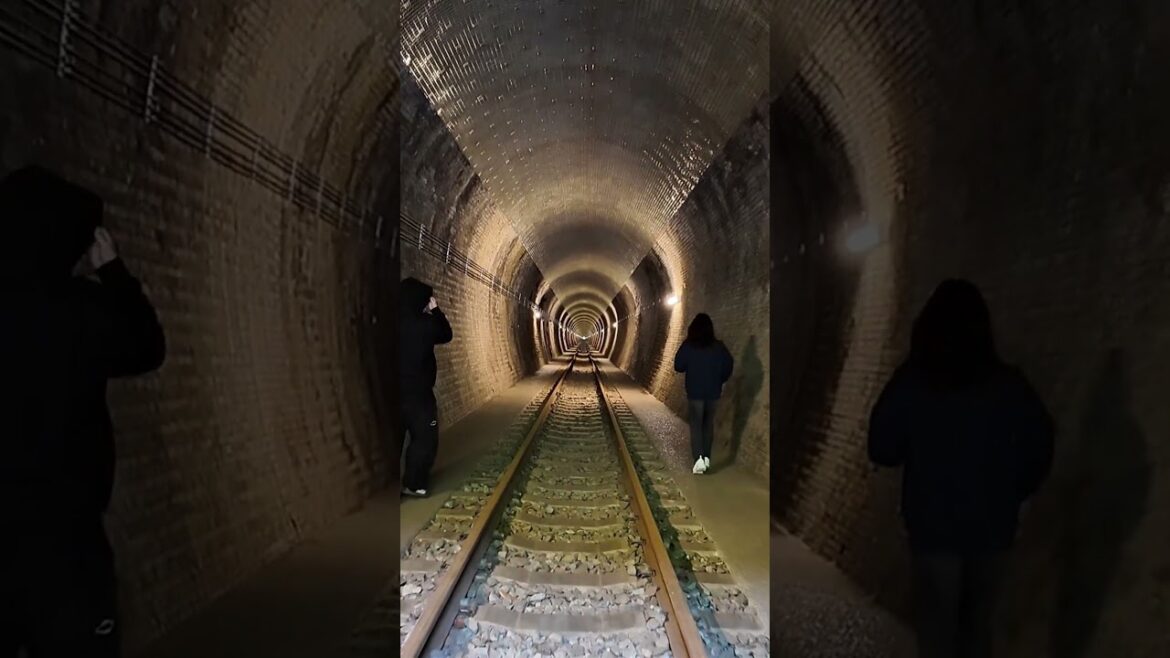 #Katsunuma #Tunnel #Wine #Cave in #Koshu #Yamanashi