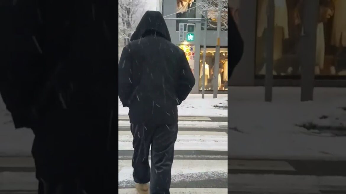 Sapporo Japan in December . #winter #northernjapan #winterinsapporo