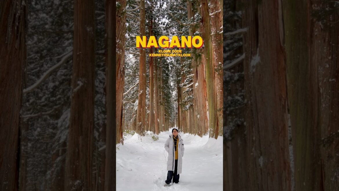 NAGANO JAPAN – KLOOK CODE: KENNETHSURATKLOOK NAGANO JAPAN - KLOOK CODE: KENNETHSURATKLOOK