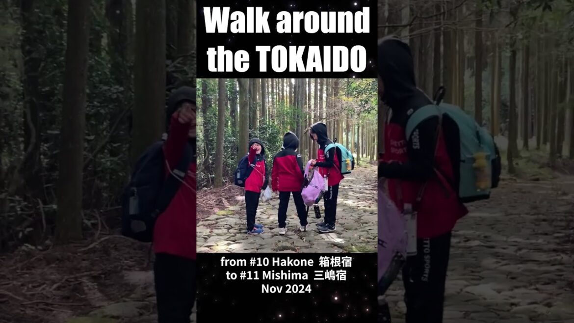 Walk around the #TOKAIDO / 10.Hakone - 11.Mishima (1)