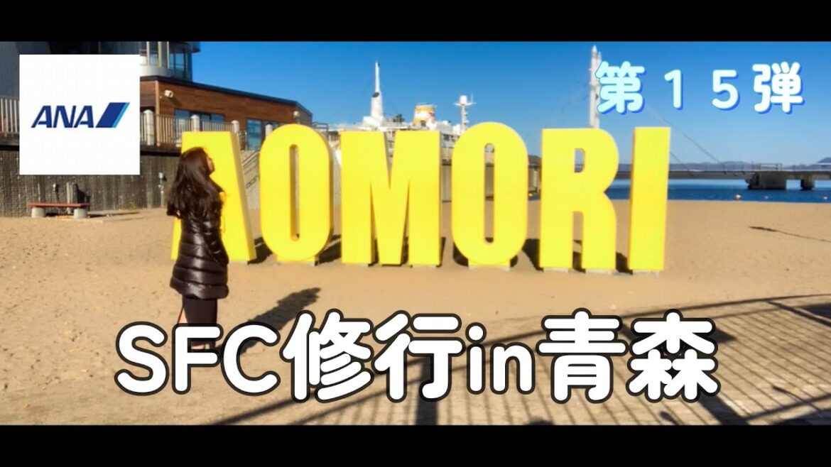 【SFC修行】青森編・私の修行はこうする、ANAエコノミークラスで快適な修行・リンゴずくし