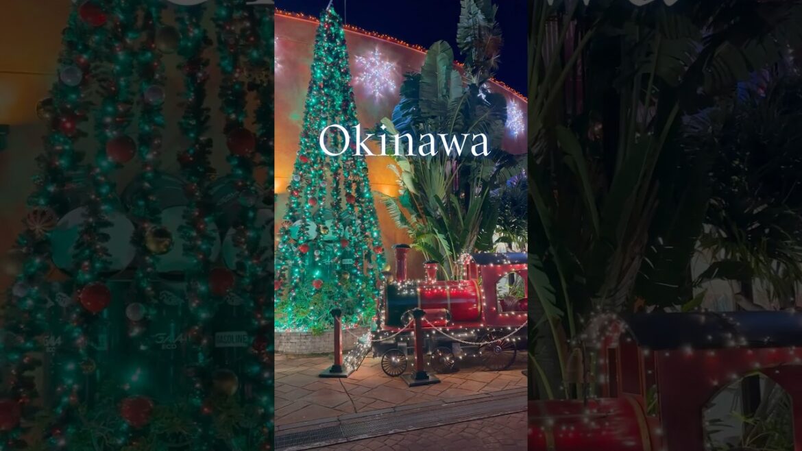 Okinawa #겨울오키나와 가는이유 #shorts