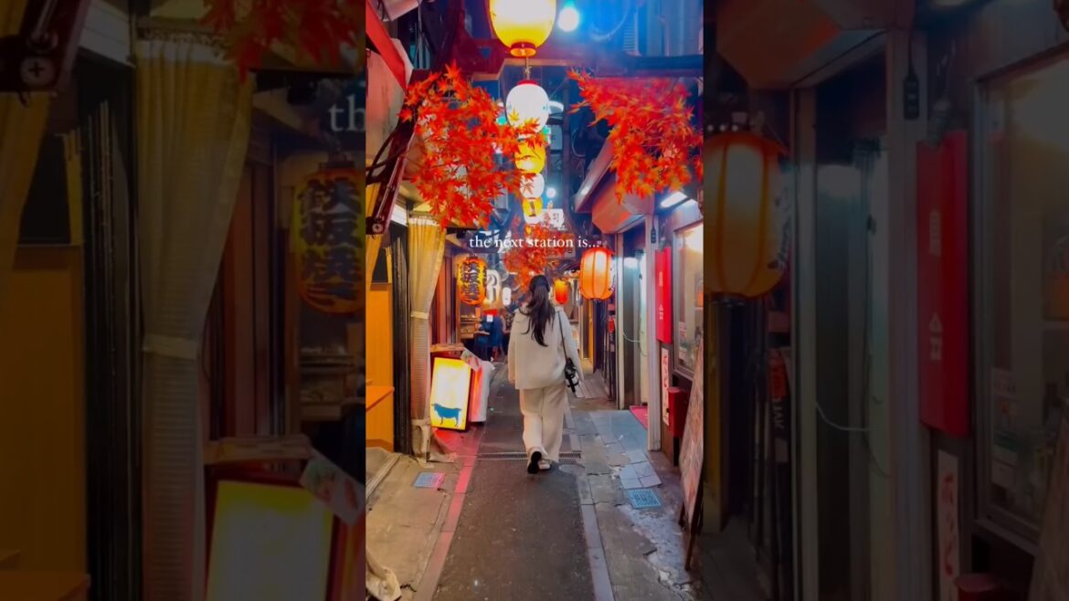 Next Stop Tokyo Night: My First Time in Japan (2024) #shorts #japan#trending #viralshorts Next Stop Tokyo Night: My First Time in Japan (2024) #shorts #japan#trending #viralshorts