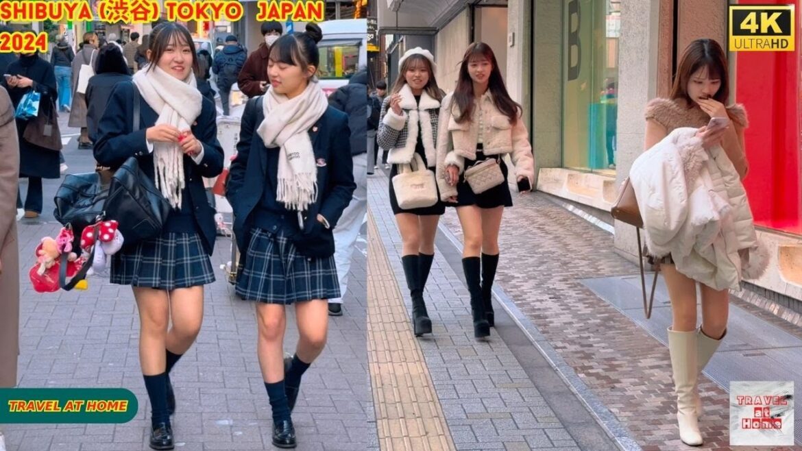 4k hdr Japan travel 2024 | Walk in Shibuya (渋谷) Tokyo Japan | Relaxing Natural City ambience 4k hdr Japan travel 2024 | Walk in Shibuya (渋谷) Tokyo Japan | Relaxing Natural City ambience