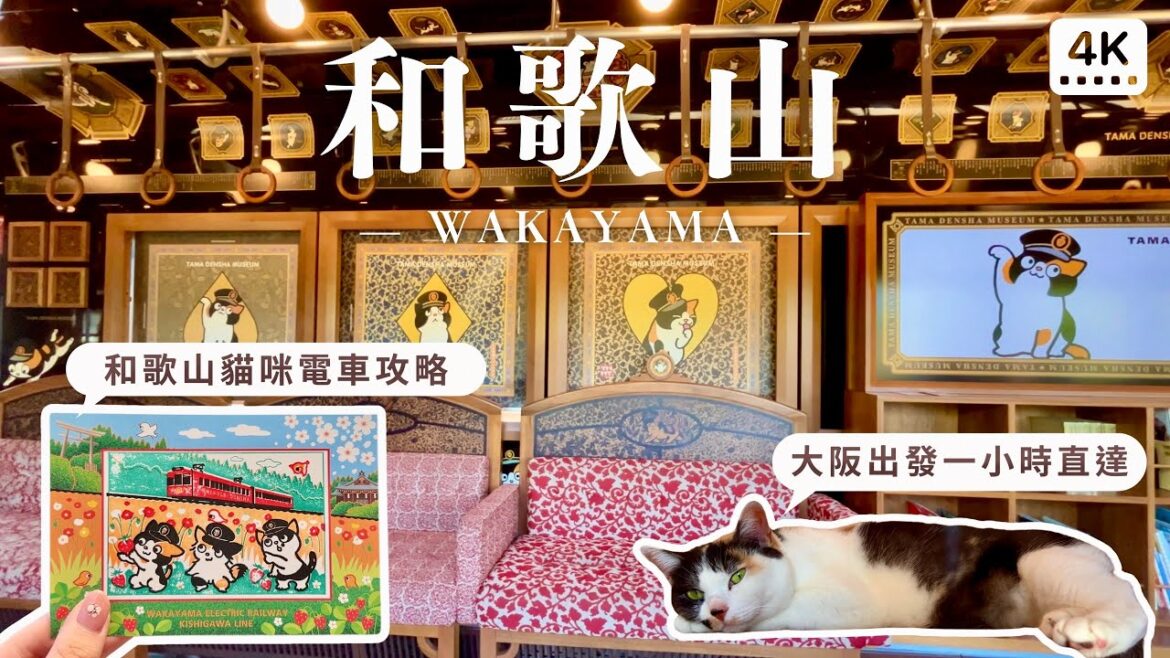 和歌山｜貓咪電車半日遊攻略、小玉博物館豪華列車、推薦交通票券、貓咪站長出勤時間｜關西大阪自助旅行