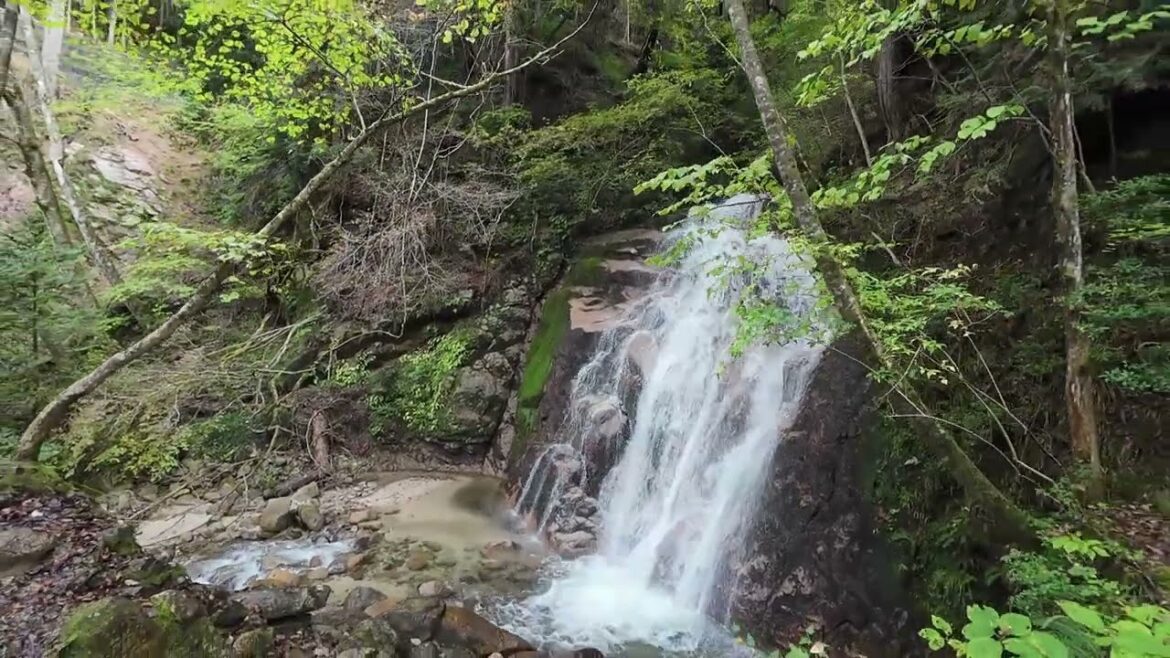 Magome-Tsumago - Nagiso old Nakasendo Trail