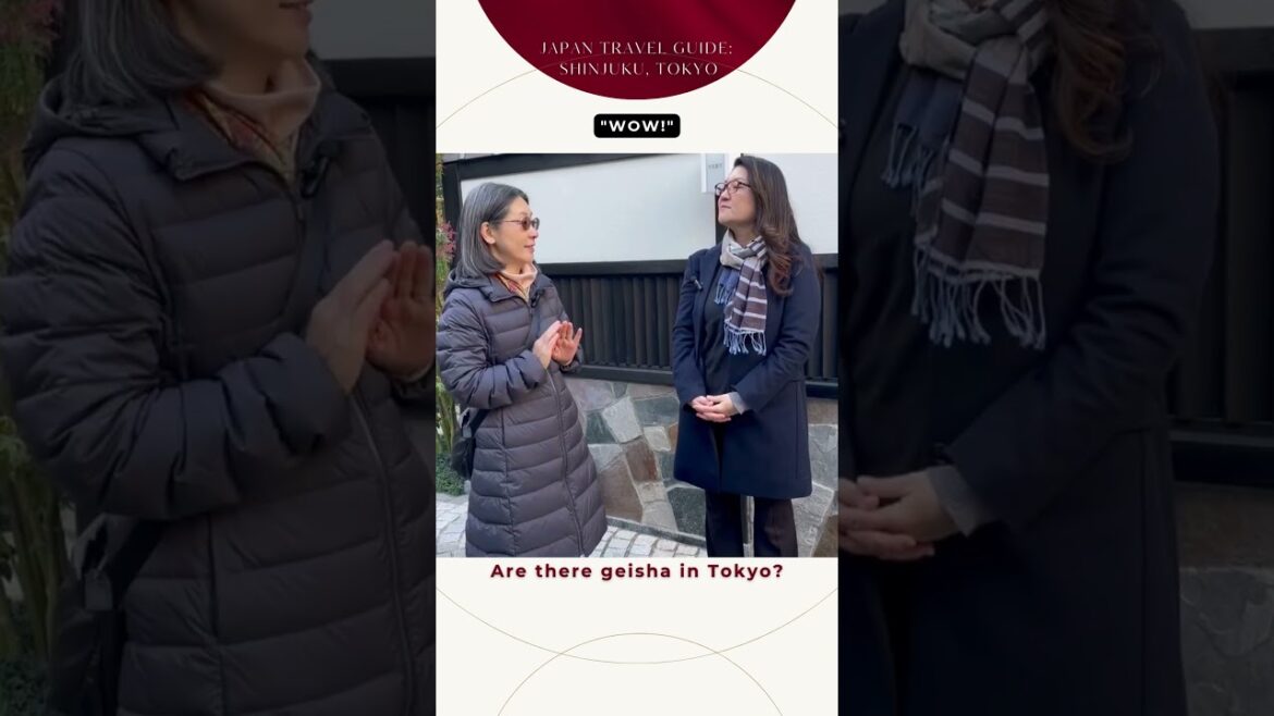 Are there geisha in Tokyo?: Tokyo Travel Secrets Only EXPERTS Know 5