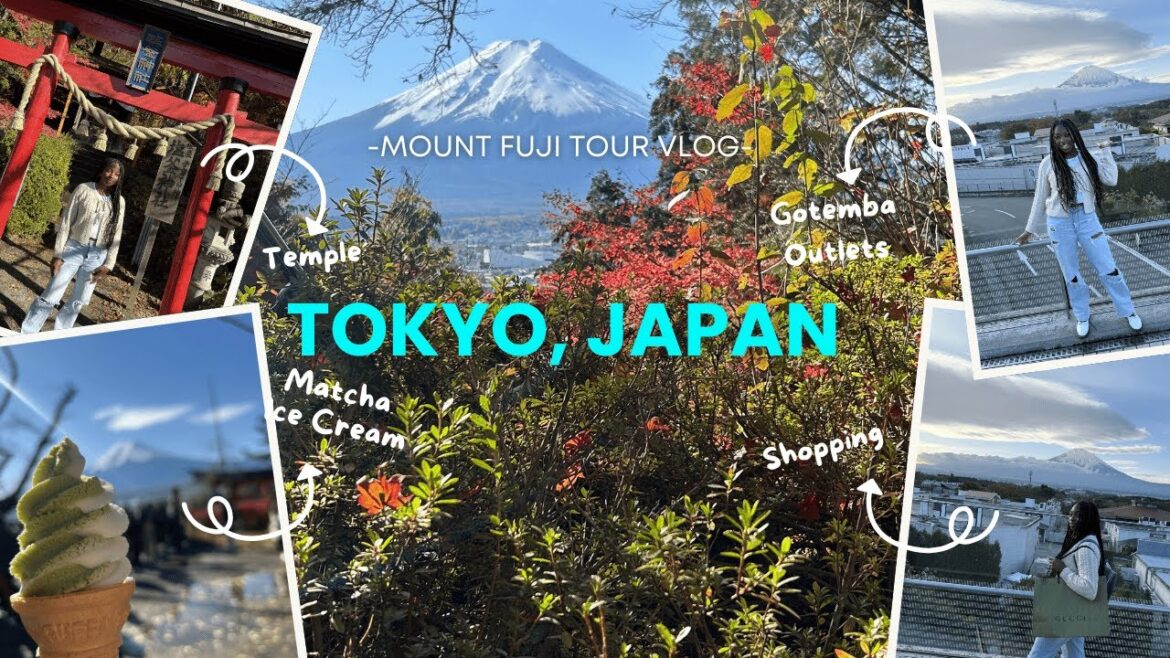 Tokyo, Japan: Mount Fuji Tour