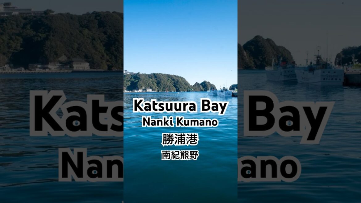 Katsuura Bay, Nachi-katsuura, Wakayama.
