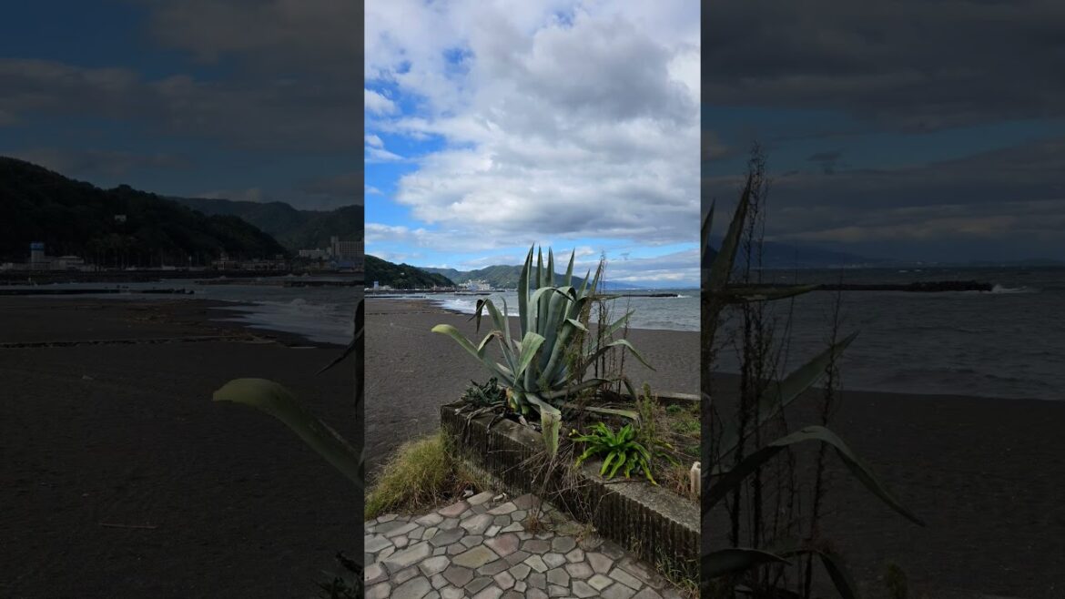 October 6–21, 2024 ITO Trip  #Japan #Travel #shizuoka #solotravel