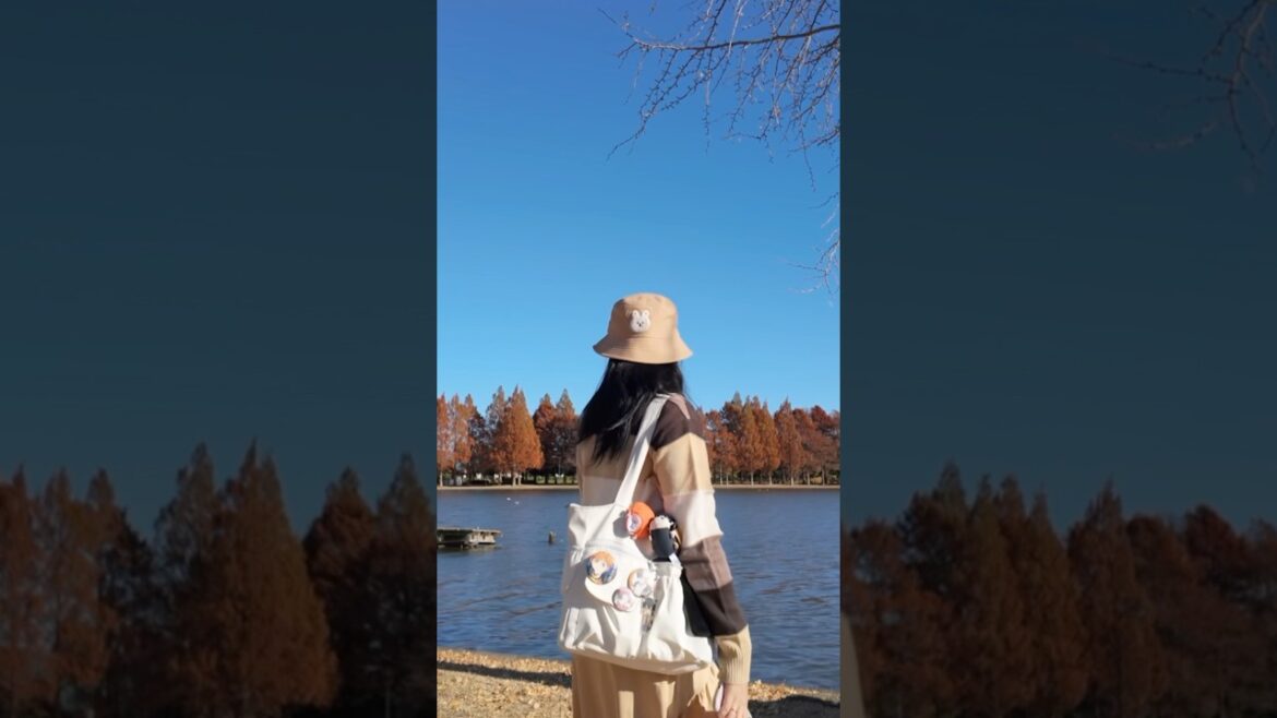 Last trip of 2024! 🇯🇵 #travel #japantravel #travelvlog #japan #tokyo #tourist