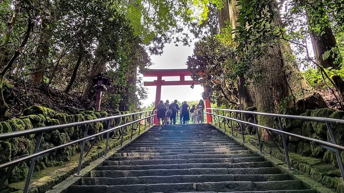 Tokyo Hakone Kawaguchiko - A Summer in Japan