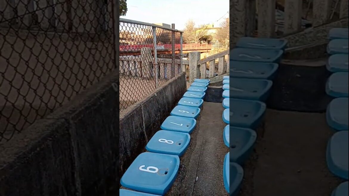 金陵山西大寺【奉修第五百十六会西大寺会陽】有料観覧席・座席指定Ｂ席付近