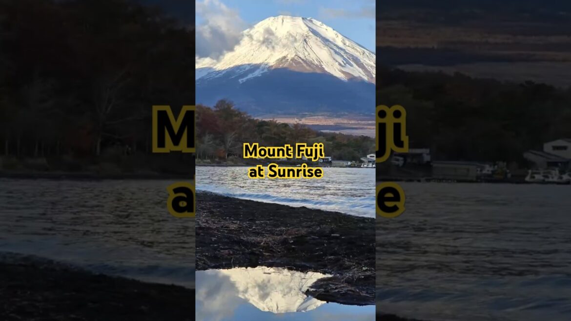 Mount Fuji at Sunrise #japantravel #mountfuji #yamanakako