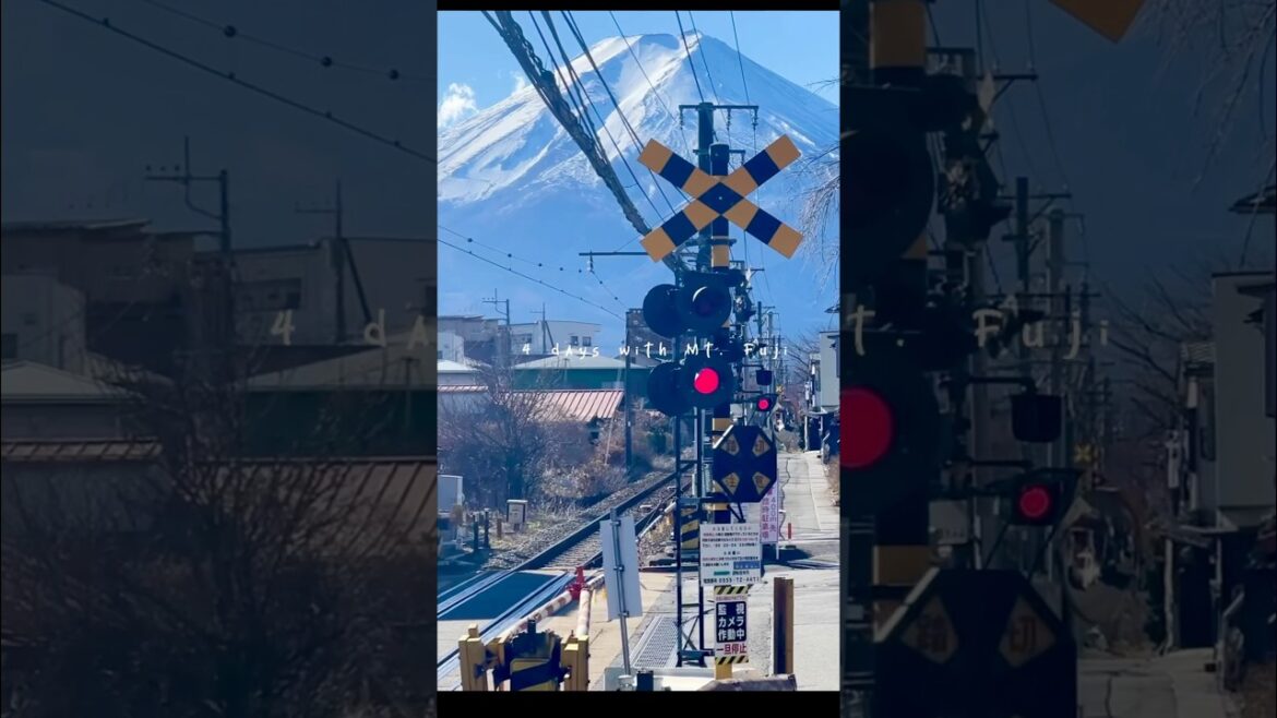 4 days with Mt. Fuji 🗻 #fujifivelakes #mtfuji #kawaguchiko