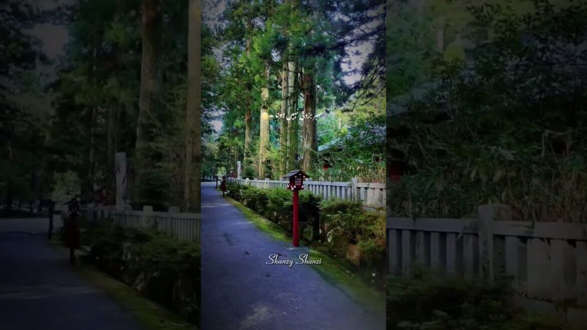 Experience Japan’s Beauty Instantly |Classic Day trip to Hakone | travel Diaries | 箱根 日本
