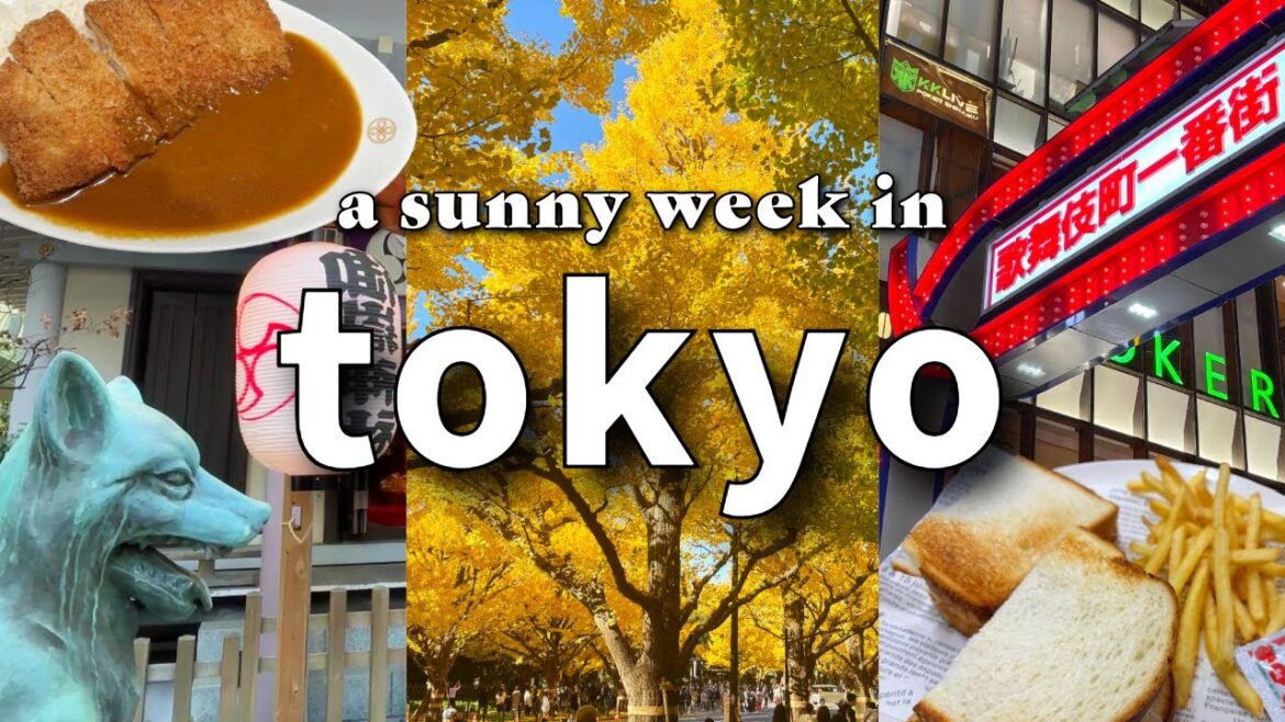 a sunny walk in TOKYO | shinjuku, omotesando and more! a sunny walk in TOKYO | shinjuku, omotesando and more!