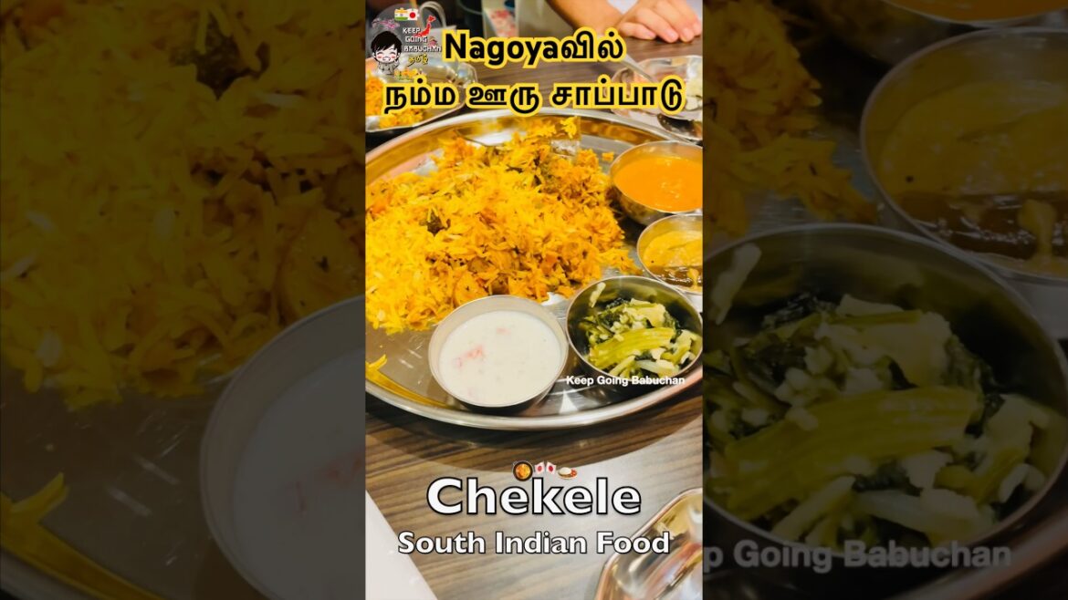 Chekele South Indian Food in Nagoya Japan