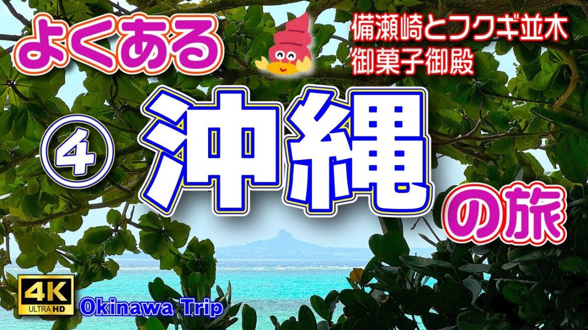 【沖縄旅行】今年の夏も〆は沖縄🌴台風ギリセーフな沖縄4泊5日の旅④（3日目後編）備瀬のフクギ並木をお散歩🚶＆御菓子御殿でお買い物🍠【沖縄観光】Vol.114　[MULTI SUB/4K]
