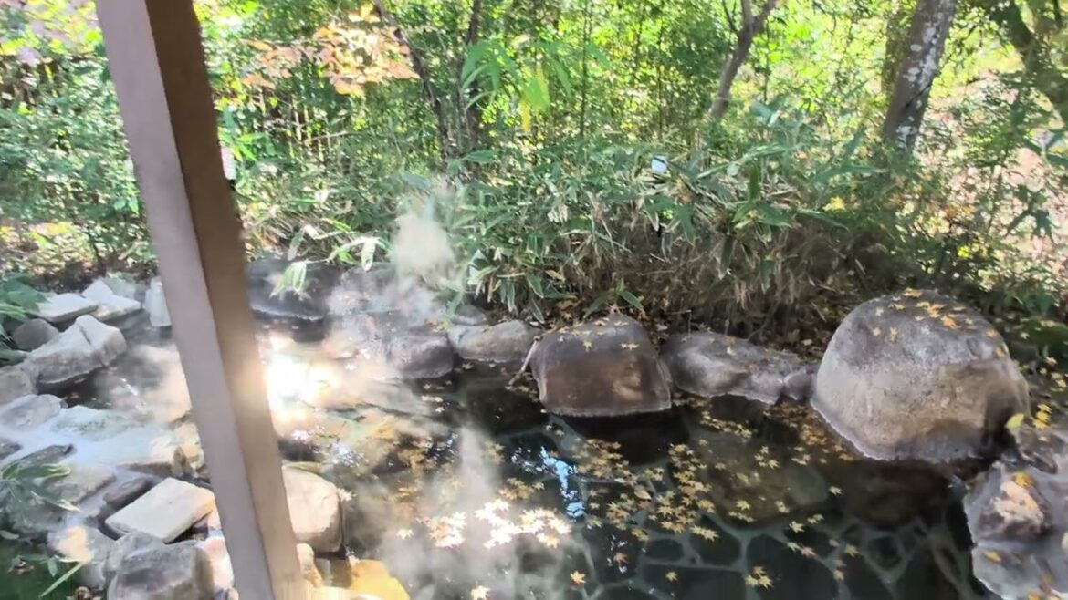 Takeo Onsen, Saga (佐賀県武雄温泉) - Onyado Chikurintei (御宿 竹林亭) - Shakunage (石楠花) suite tour 2024 Dec. 23