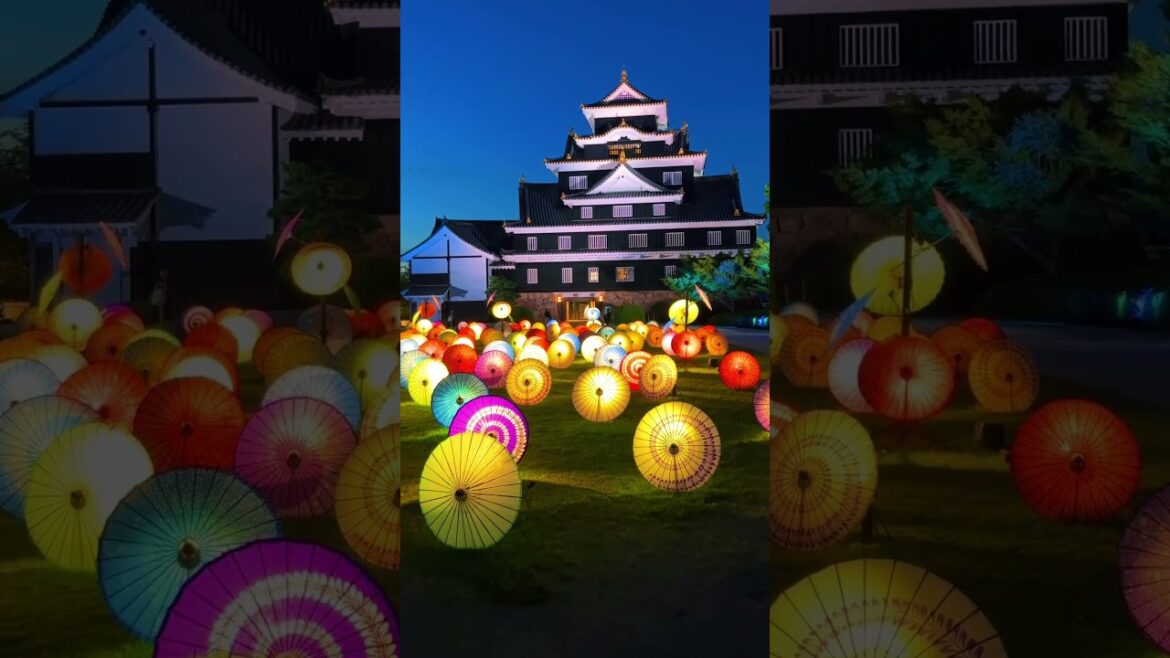 【Japan】 Okayama Castle