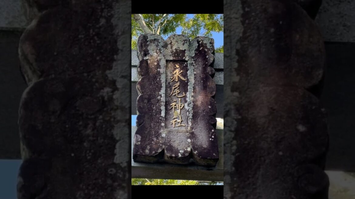 海の中に鳥居がある！？　海中鳥居　永尾劔神社　熊本県　宇土市　#永尾劔神社　#永尾神社　#神社 　＃海中鳥居
