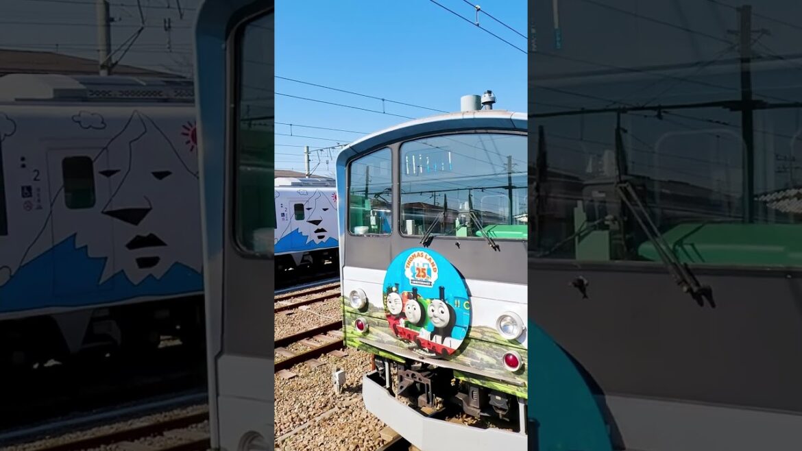 Experience the BREATHTAKING Views of Mount Fuji Like a Local