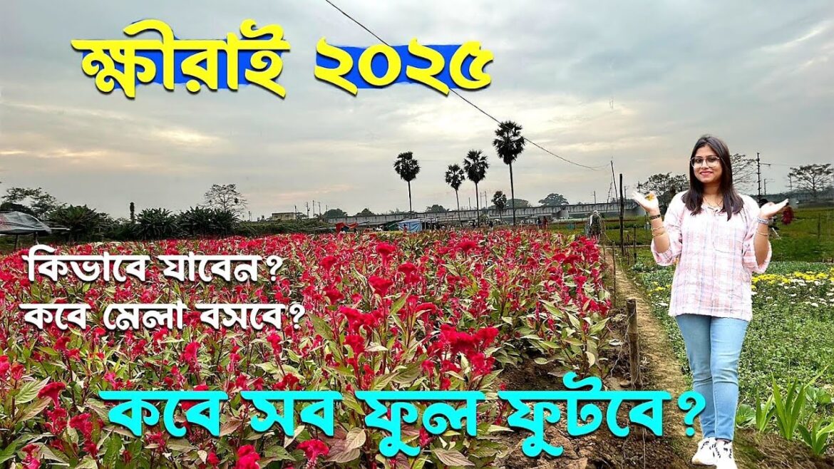 ক্ষীরাই ফুলের বাগান 2025| Khirai One Day Trip from Kolkata| Khirai Flower Festival |Howrah to Khirai