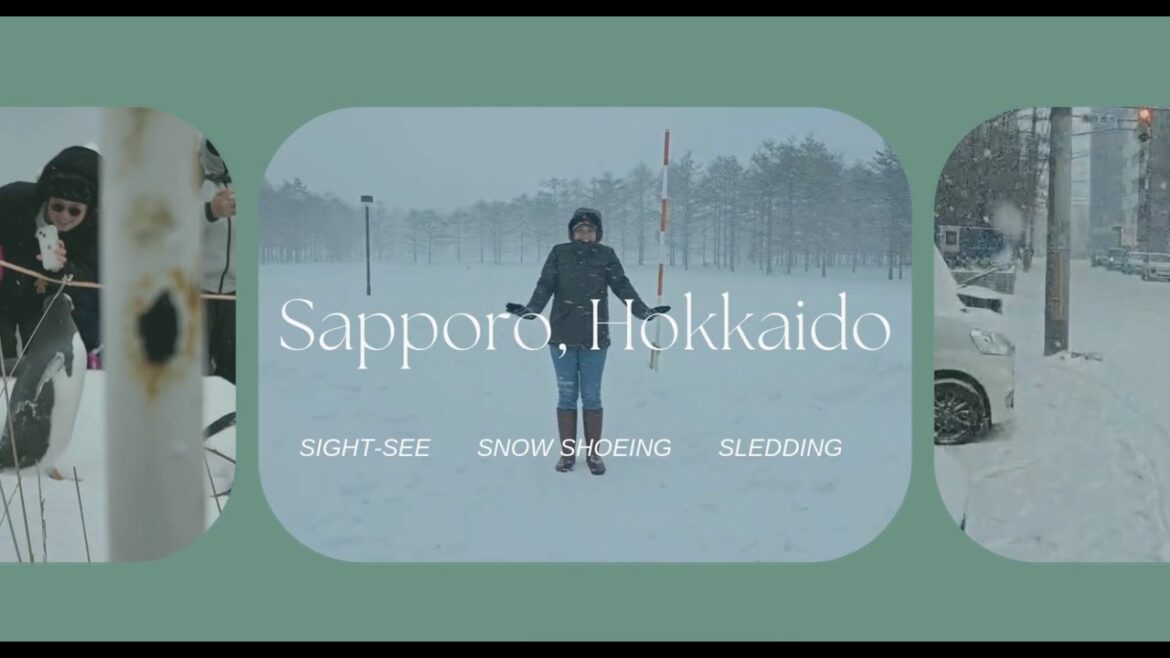 Otaru, HOKKAIDO Japan | Sakaimachi & Otaru Canal | Travel with Books Blues