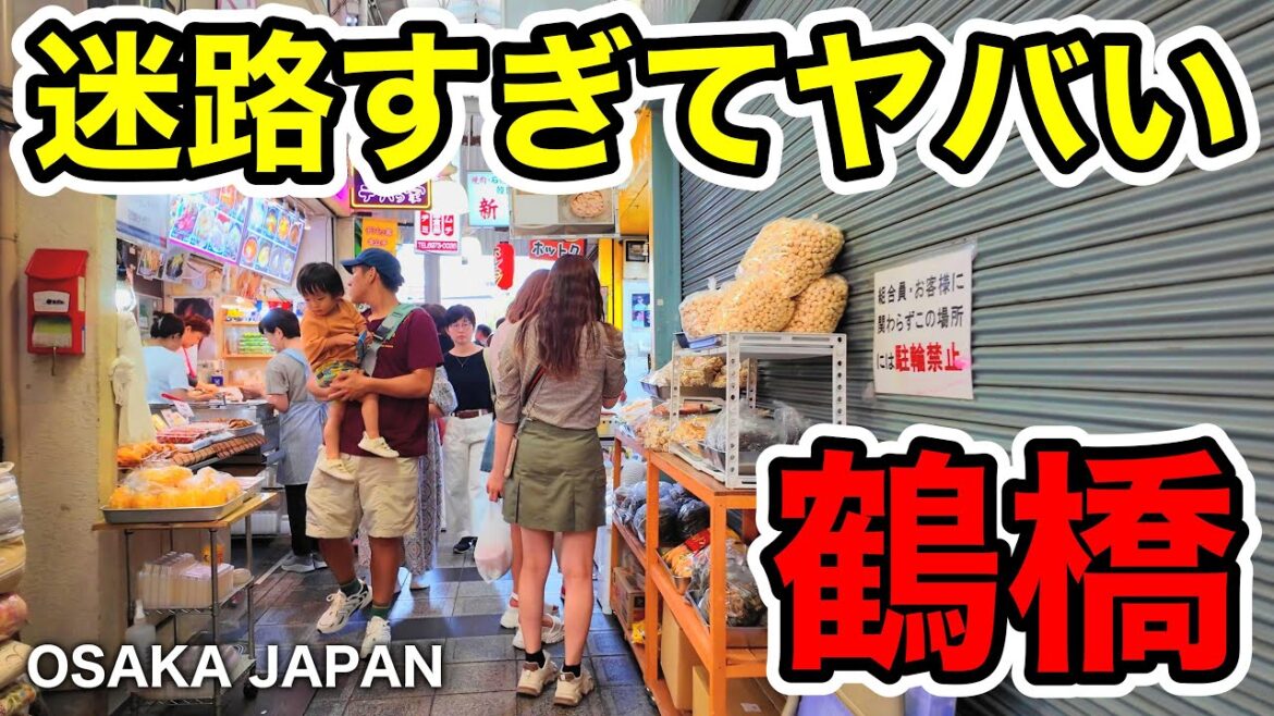 【日本屈指の迷路ストリート】鶴橋商店街から大阪コリアタウンへ【4K】 【日本屈指の迷路ストリート】鶴橋商店街から大阪コリアタウンへ【4K】