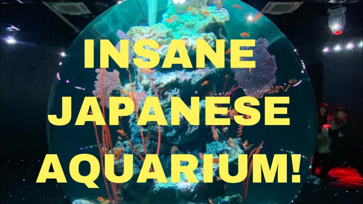 Insane Japanese Aquarium in Kobe - relaxing