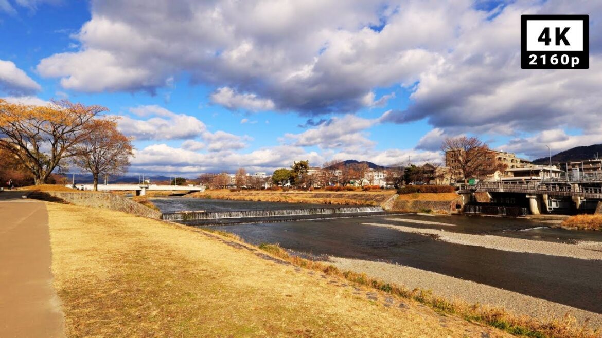 Goodbye 2024: A Serene Kamogawa Walk in Kyoto’s Winter Sun・4K
