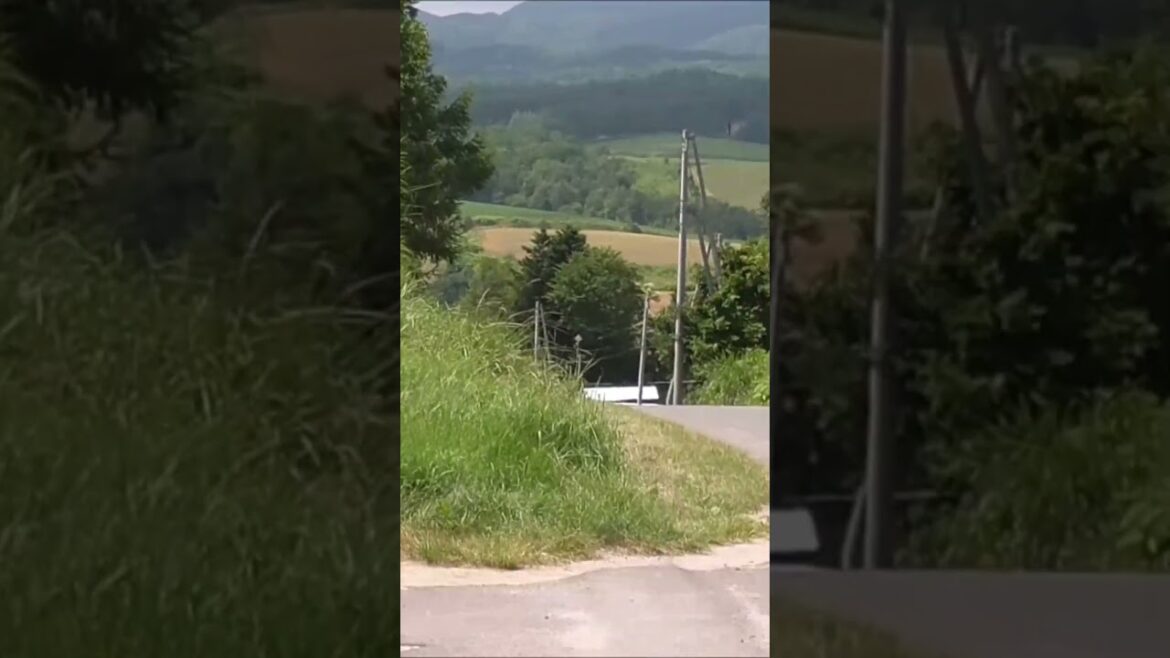 ジェットコースターの路の周辺風景　北海道空知郡上富良野町　#shorts  #hokkaido  #北海道 　#中富良野　#ファーム富田　#ラベンダー　＃ジェットコースターの路　＃上富良野町