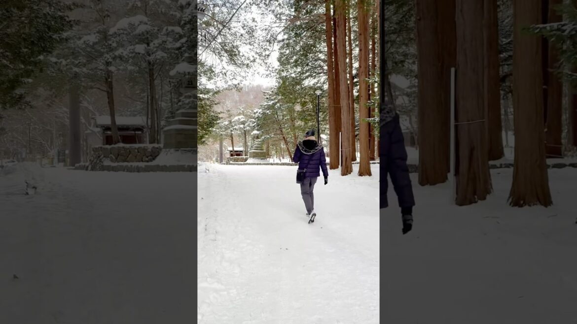 Sapporo Winter 24 December 2024 #winter #snow #travel