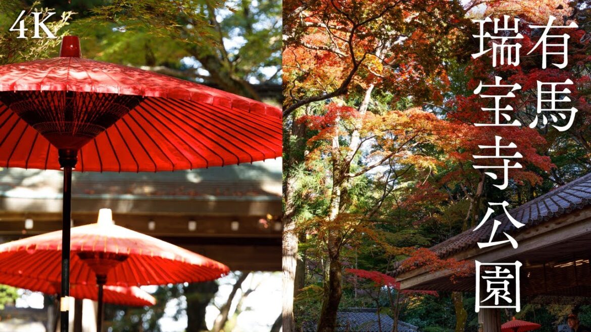 有馬の瑞宝寺公園の紅葉が最高にきれいだった!【兵庫県神戸市】 #VLOG #4K 有馬の瑞宝寺公園の紅葉が最高にきれいだった!【兵庫県神戸市】 #VLOG #4K