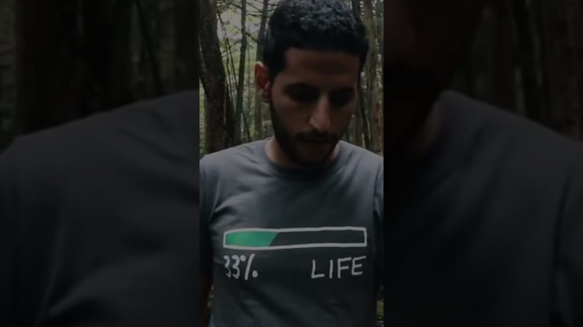 Aokigahara Forest, Japan. Aokigahara Forest, Japan.