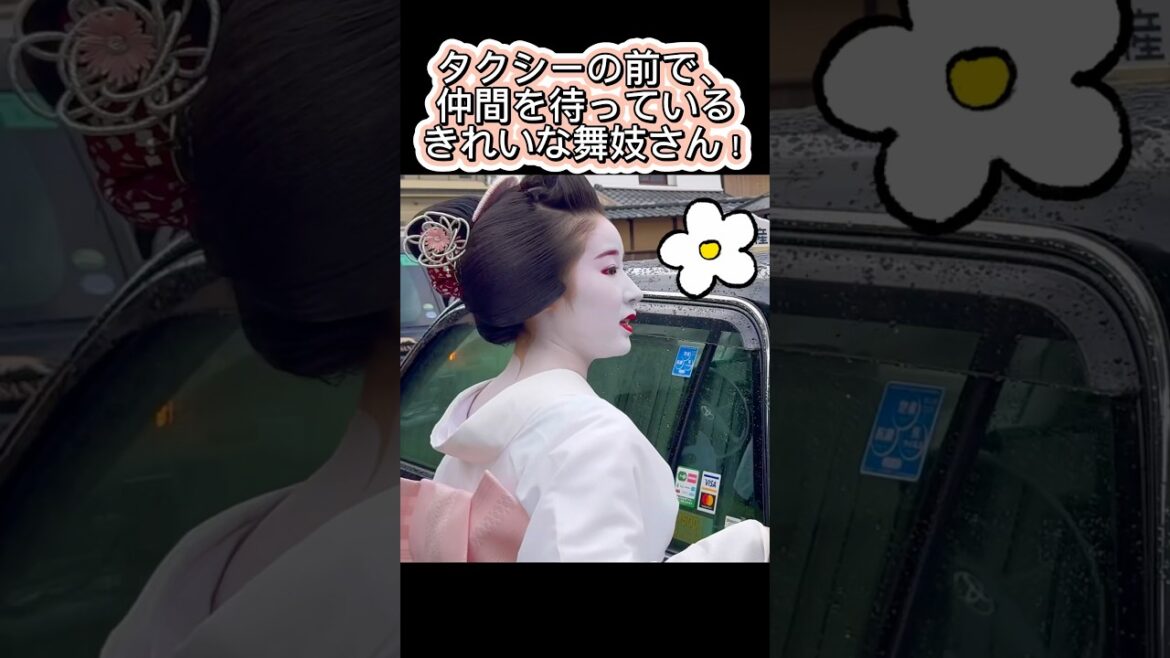 タクシーの前で、仲間を待っている綺麗な舞妓さん!京都祇園。A maiko waiting for her companions in front of a taxi! Gion, Kyoto. タクシーの前で、仲間を待っている綺麗な舞妓さん!京都祇園。A maiko waiting for her companions in front of a taxi! Gion, Kyoto.