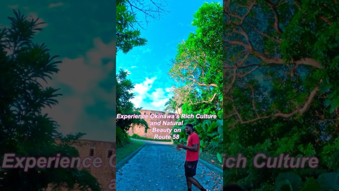 Discover Okinawa’s Cultural Heritage and Natural Beauty: Your Ultimate Guide Along Route 58 Discover Okinawa's Cultural Heritage and Natural Beauty: Your Ultimate Guide Along Route 58