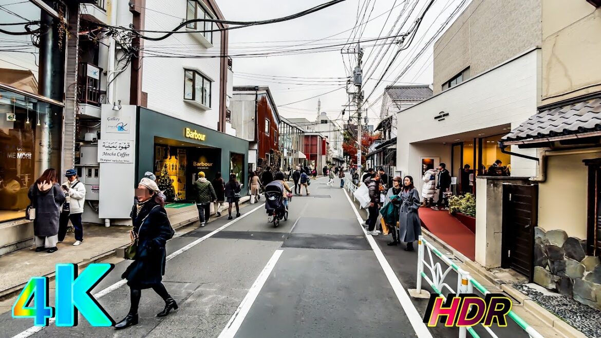 Daikanyama Japan Tour: Tokyo's Trendiest & Stylish Neighborhood Walk • 4K HDR