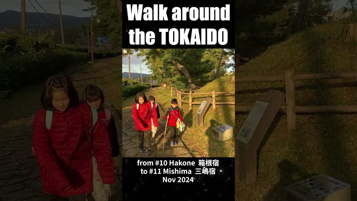 Walk around the #TOKAIDO / 10.Hakone - 11.Mishima (3)