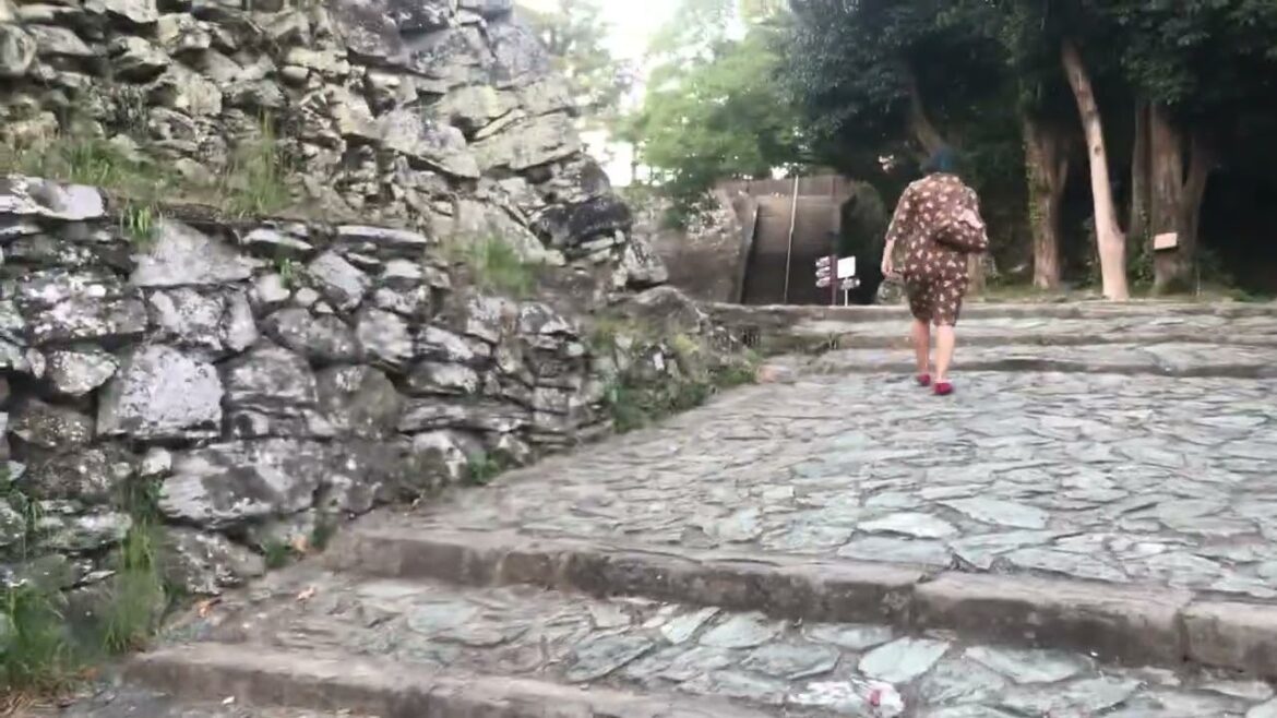 Wakayama castle, Japan