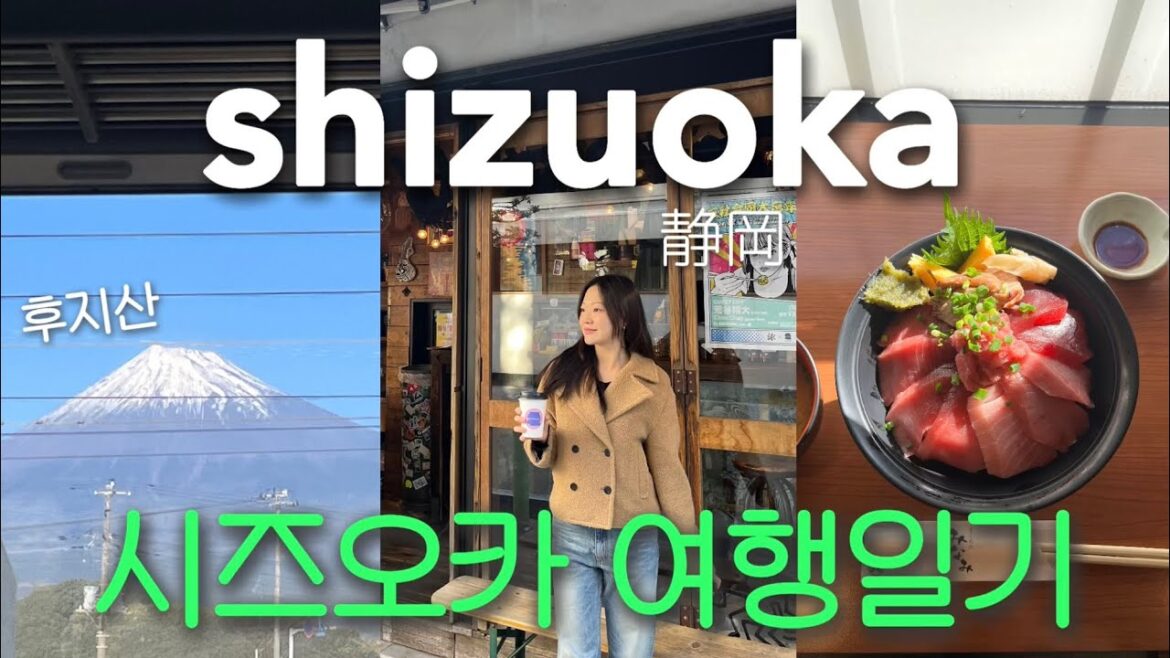 🇯🇵일본 브이로그. 시즈오카 3박4일, 식단은 잠시 포기한다. 역대급 참치덮밥‼️료칸에서 후지산 보며 온천하고 온종일 먹고온 뚜벅이 여행코스 (맛집정보)